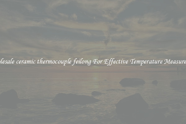 Wholesale ceramic thermocouple feilong For Effective Temperature Measurement