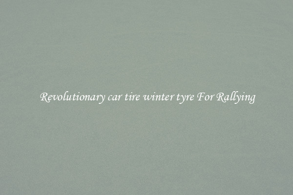 Revolutionary car tire winter tyre For Rallying