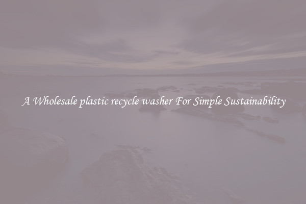  A Wholesale plastic recycle washer For Simple Sustainability 