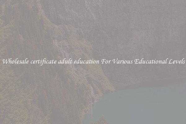 Wholesale certificate adult education For Various Educational Levels