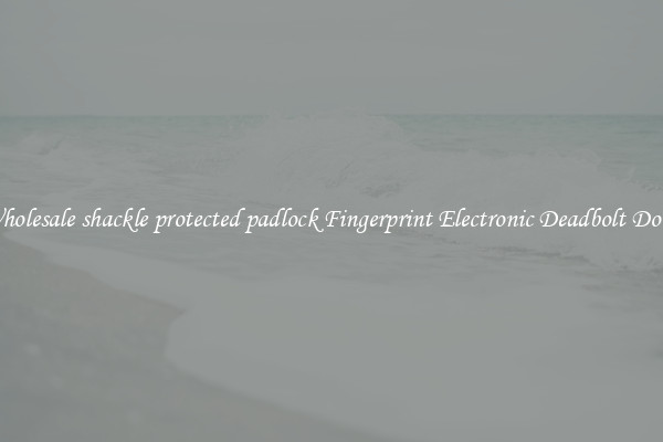 Wholesale shackle protected padlock Fingerprint Electronic Deadbolt Door 