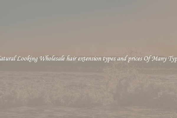 Natural Looking Wholesale hair extension types and prices Of Many Types