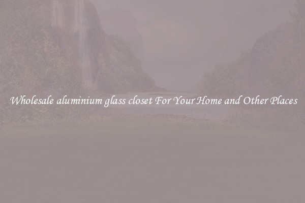 Wholesale aluminium glass closet For Your Home and Other Places