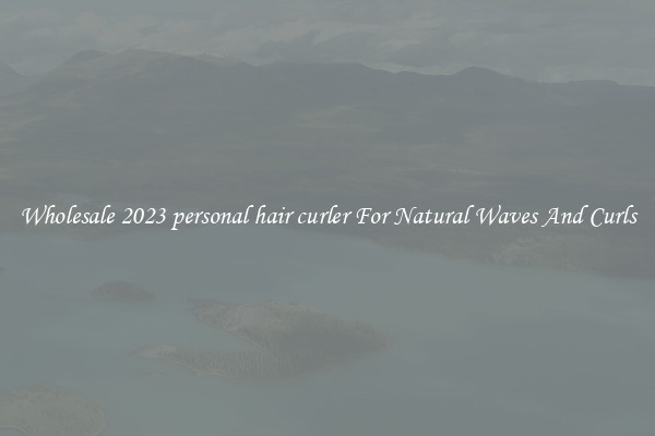Wholesale 2023 personal hair curler For Natural Waves And Curls