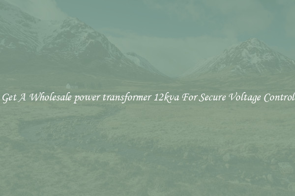 Get A Wholesale power transformer 12kva For Secure Voltage Control