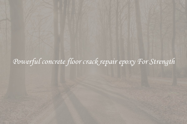 Powerful concrete floor crack repair epoxy For Strength