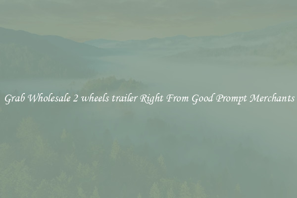 Grab Wholesale 2 wheels trailer Right From Good Prompt Merchants