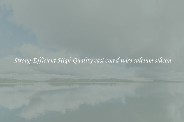 Strong Efficient High-Quality casi cored wire calcium silicon