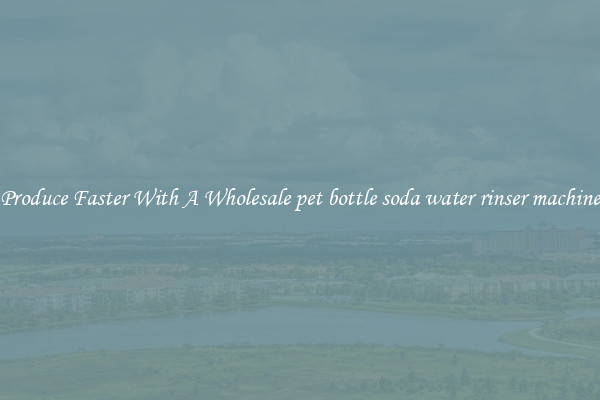 Produce Faster With A Wholesale pet bottle soda water rinser machine