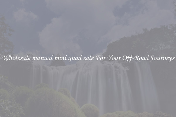 Wholesale manual mini quad sale For Your Off-Road Journeys
