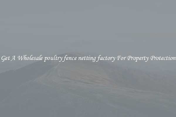 Get A Wholesale poultry fence netting factory For Property Protection