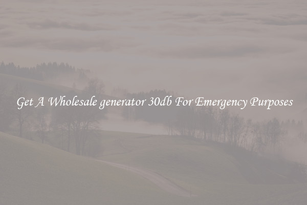 Get A Wholesale generator 30db For Emergency Purposes