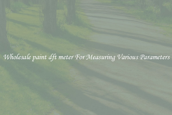 Wholesale paint dft meter For Measuring Various Parameters