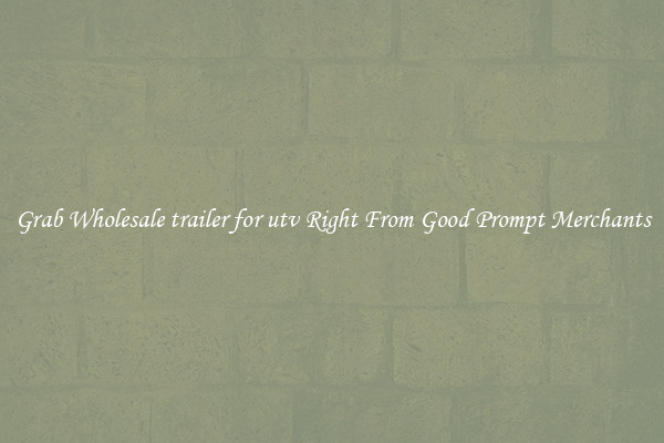 Grab Wholesale trailer for utv Right From Good Prompt Merchants