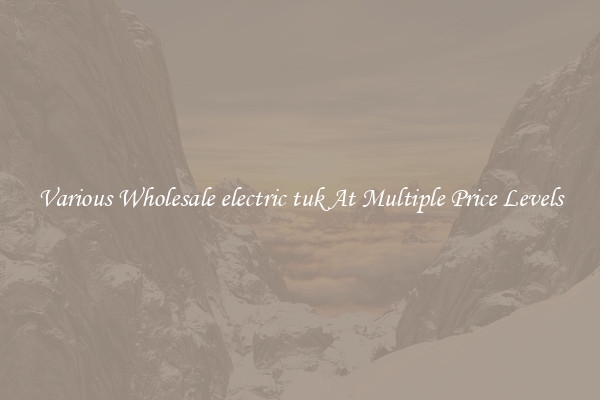 Various Wholesale electric tuk At Multiple Price Levels