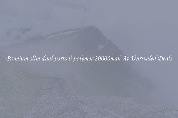 Premium slim dual ports li polymer 20000mah At Unrivaled Deals