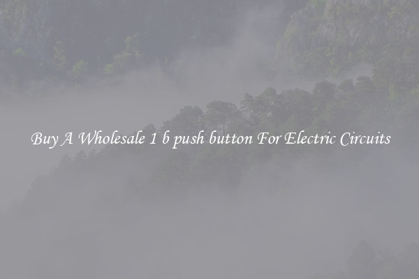 Buy A Wholesale 1 b push button For Electric Circuits