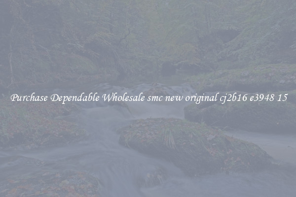 Purchase Dependable Wholesale smc new original cj2b16 e3948 15