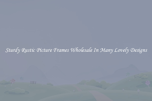 Sturdy Rustic Picture Frames Wholesale In Many Lovely Designs