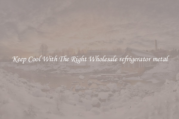 Keep Cool With The Right Wholesale refrigerator metal