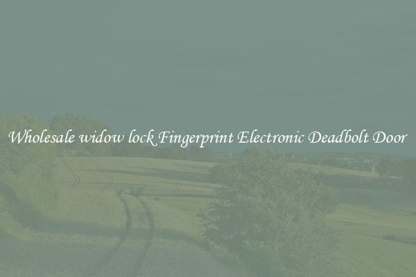 Wholesale widow lock Fingerprint Electronic Deadbolt Door 